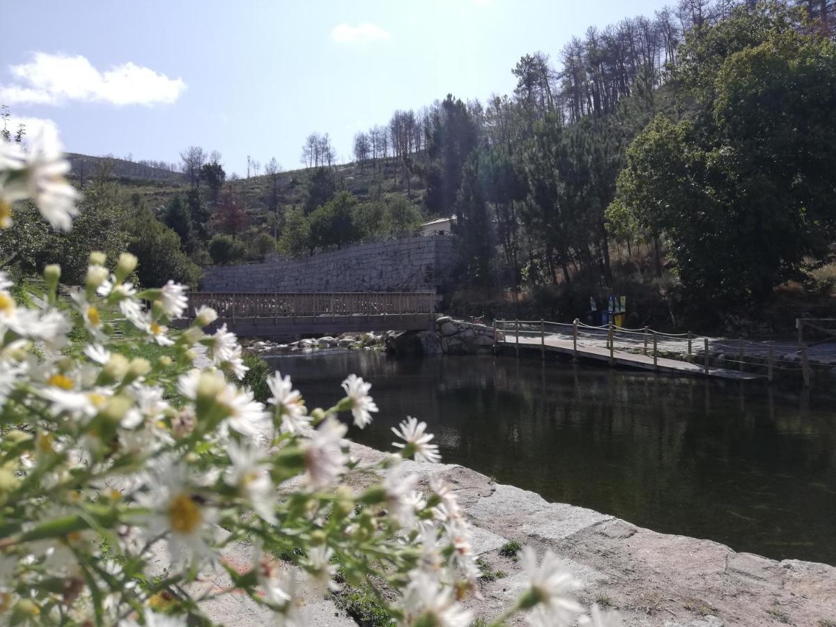 Gospodarstwo wiejskie Sambuc'asa - Serra Da Estrela *